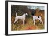 Two Fox Terriers-null-Framed Art Print