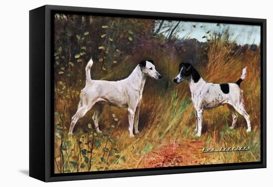 Two Fox Terriers-null-Framed Stretched Canvas