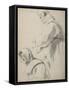 Two Franciscan Friars-Peter Paul Rubens-Framed Stretched Canvas