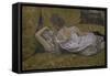 Two Friends-Henri de Toulouse-Lautrec-Framed Stretched Canvas