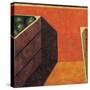 Two Fruit Crates, 1999-Pedro Diego Alvarado-Stretched Canvas