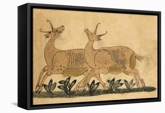 Two Gazelles-Aristotle ibn Bakhtishu-Framed Stretched Canvas