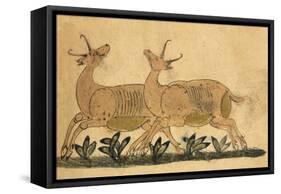 Two Gazelles-Aristotle ibn Bakhtishu-Framed Stretched Canvas