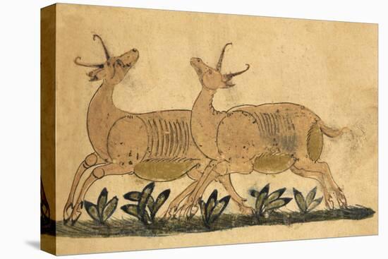 Two Gazelles-Aristotle ibn Bakhtishu-Stretched Canvas
