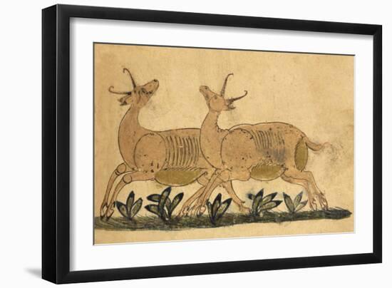 Two Gazelles-Aristotle ibn Bakhtishu-Framed Giclee Print