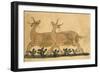 Two Gazelles-Aristotle ibn Bakhtishu-Framed Giclee Print