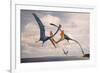 Two Geosternbergia Pterosaurs Fighting over Small Fish-null-Framed Art Print