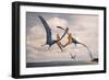 Two Geosternbergia Pterosaurs Fighting over Small Fish-null-Framed Premium Giclee Print