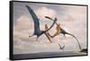 Two Geosternbergia Pterosaurs Fighting over Small Fish-null-Framed Stretched Canvas