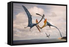 Two Geosternbergia Pterosaurs Fighting over Small Fish-null-Framed Stretched Canvas