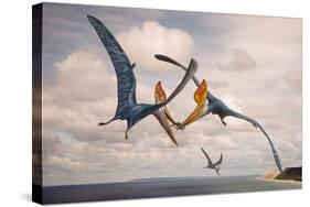 Two Geosternbergia Pterosaurs Fighting over Small Fish-null-Stretched Canvas