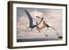 Two Geosternbergia Pterosaurs Fighting over Small Fish-null-Framed Art Print