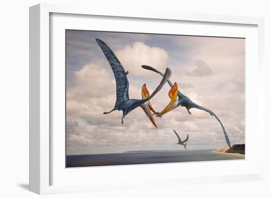 Two Geosternbergia Pterosaurs Fighting over Small Fish-null-Framed Art Print