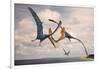 Two Geosternbergia Pterosaurs Fighting over Small Fish-null-Framed Art Print