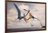 Two Geosternbergia Pterosaurs Fighting over Small Fish-null-Framed Art Print