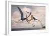 Two Geosternbergia Pterosaurs Fighting over Small Fish-null-Framed Art Print