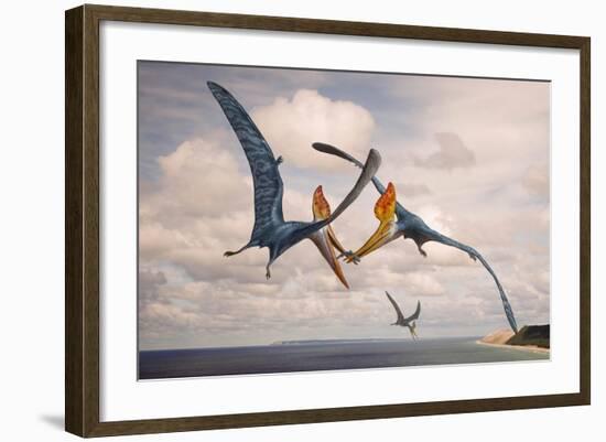 Two Geosternbergia Pterosaurs Fighting over Small Fish-null-Framed Art Print