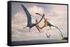 Two Geosternbergia Pterosaurs Fighting over Small Fish-null-Framed Stretched Canvas