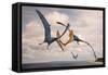 Two Geosternbergia Pterosaurs Fighting over Small Fish-null-Framed Stretched Canvas