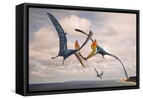 Two Geosternbergia Pterosaurs Fighting over Small Fish-null-Framed Stretched Canvas