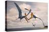 Two Geosternbergia Pterosaurs Fighting over Small Fish-null-Stretched Canvas
