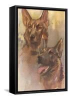 Two German Shepherds-null-Framed Stretched Canvas