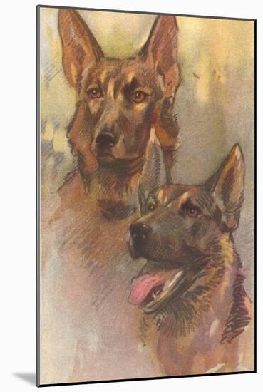 Two German Shepherds-null-Mounted Art Print