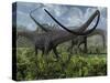 Two Giant Diplodocus Herbivore Dinosaurs Grazing During the Jurassic Period on Earth-Stocktrek Images-Stretched Canvas