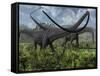 Two Giant Diplodocus Herbivore Dinosaurs Grazing During the Jurassic Period on Earth-Stocktrek Images-Framed Stretched Canvas