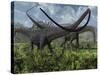 Two Giant Diplodocus Herbivore Dinosaurs Grazing During the Jurassic Period on Earth-Stocktrek Images-Stretched Canvas
