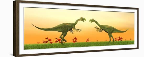 Two Gigantoraptor Dinosaurs Fighting on Green Grass by Sunset-null-Framed Premium Giclee Print