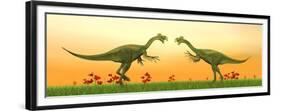 Two Gigantoraptor Dinosaurs Fighting on Green Grass by Sunset-null-Framed Premium Giclee Print