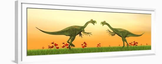 Two Gigantoraptor Dinosaurs Fighting on Green Grass by Sunset-null-Framed Premium Giclee Print