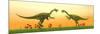 Two Gigantoraptor Dinosaurs Fighting on Green Grass by Sunset-null-Mounted Premium Giclee Print