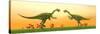 Two Gigantoraptor Dinosaurs Fighting on Green Grass by Sunset-null-Stretched Canvas