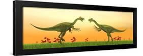 Two Gigantoraptor Dinosaurs Fighting on Green Grass by Sunset-null-Framed Art Print