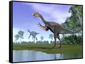 Two Gigantoraptor Dinosaurs in a Prehistoric Environment-null-Framed Stretched Canvas