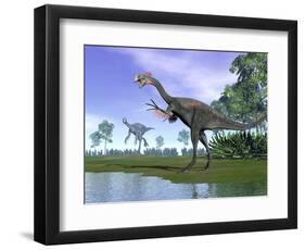 Two Gigantoraptor Dinosaurs in a Prehistoric Environment-null-Framed Art Print