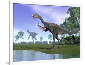 Two Gigantoraptor Dinosaurs in a Prehistoric Environment-null-Framed Art Print