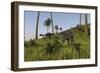 Two Gigantoraptors in a Grassy Field-null-Framed Art Print