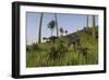 Two Gigantoraptors in a Grassy Field-null-Framed Premium Giclee Print