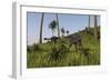 Two Gigantoraptors in a Grassy Field-null-Framed Premium Giclee Print