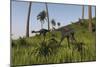 Two Gigantoraptors in a Grassy Field-null-Mounted Premium Giclee Print