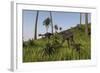 Two Gigantoraptors in a Grassy Field-null-Framed Art Print