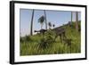 Two Gigantoraptors in a Grassy Field-null-Framed Art Print