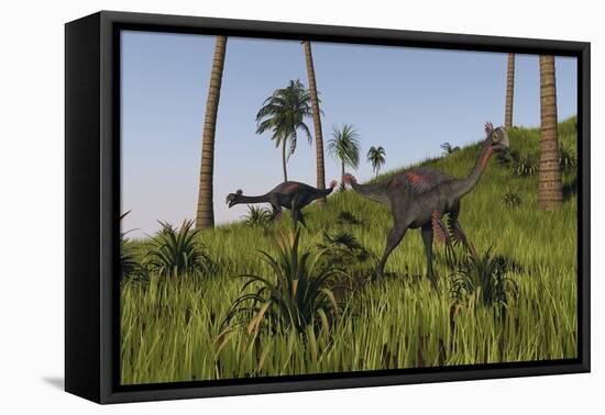 Two Gigantoraptors in a Grassy Field-null-Framed Stretched Canvas