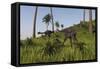 Two Gigantoraptors in a Grassy Field-null-Framed Stretched Canvas