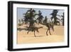 Two Gigantoraptors in Desert Landscape-null-Framed Art Print