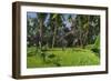 Two Gigantoraptors Running across a Grassy Field-null-Framed Art Print