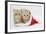 Two Ginger Kittens in a Father Christmas Hat-Mark Taylor-Framed Photographic Print